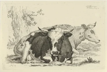 Two Lying Cows in Front of a Tree, Studies of Cows, Sheep and Goats (series title)