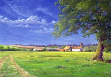Home Field