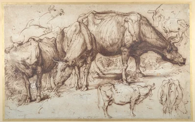 Cattle in Pasture, c.1618-20