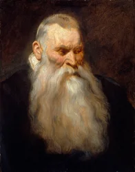 Study Head of an Old Man with a White Beard
