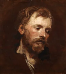 Study of a Young Bearded Man