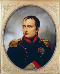 Portrait of Napoleon I, 1815