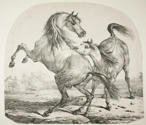 Wild Horses Fighting, c.1820