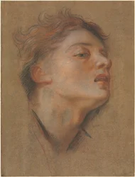 Head of a Young Man