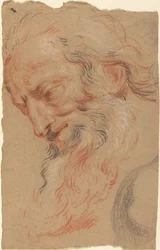 Head of an Old Man
