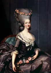 Marie-Therese of Savoy-Carignan, Princess of Lamballe