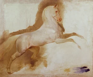 Horse of Joachim Murat