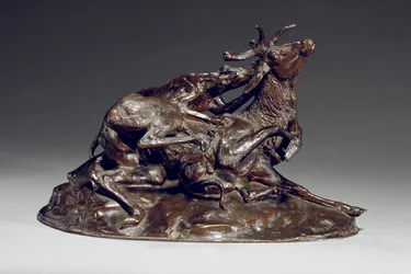 Stag brought down by two greyhounds