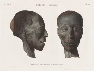Description of Egypt: Thebes. Hypogees Vol. II, Pl. 49