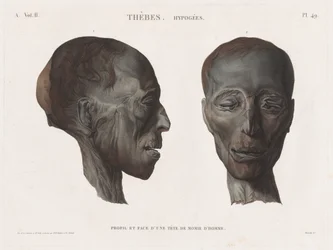 Description of Egypt: Thebes. Hypogees Vol. II, Pl. 49