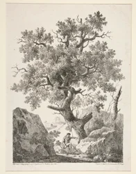 Untitled [Man Seated by Tree]