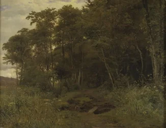 A Thicket