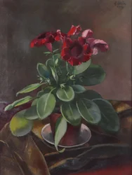 Potted Plant