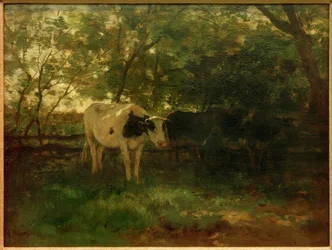 Milking Time