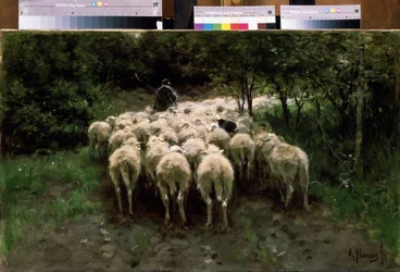 Sheep in the Forest