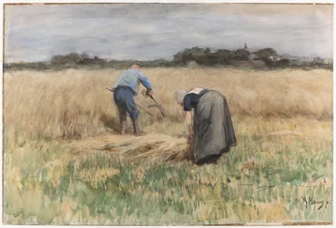 The Harvest