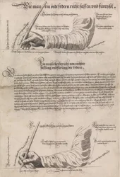 The Art of Writing, 1601, 1631