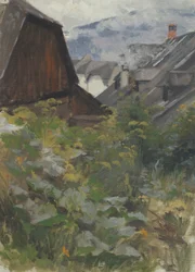 Village Study