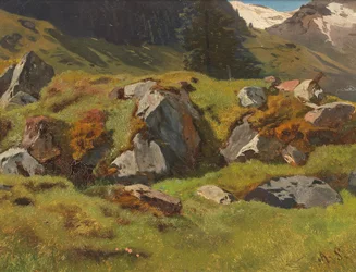 Study of Rocks at Ferleiten