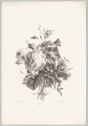 Roses and Cup-shaped Flowers (Flower and Fruit Studies, 10th installment)