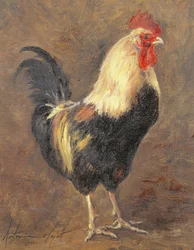 The Cockerel