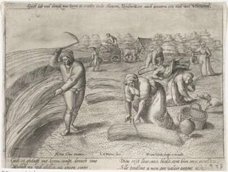 The Harvest