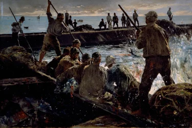 Slaughter of tuna
