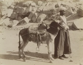Bourier et Bouriquer, Egypt