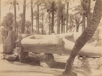 Statue of Ramesses at Saqqara
