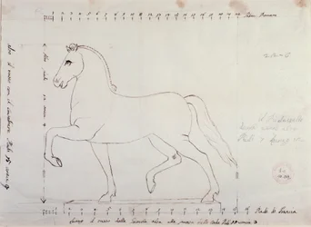 Study for a horse for an equestrian monument