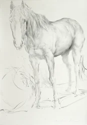 Horse at Coolmore, 1990
