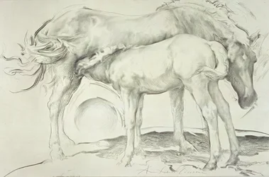 Horses at Coolmore, 1990