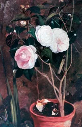 Camelias, 19th Century