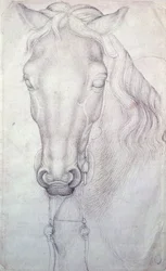 Head of a Horse