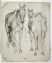 Two harnesses, seen three quarters, one from the front and the other from the back. Drawing by Pisanello