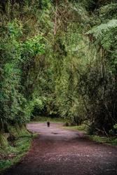Mantiqueira XLIII, 2015