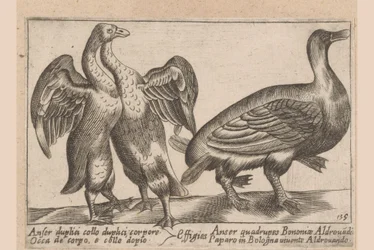 Deformed Geese