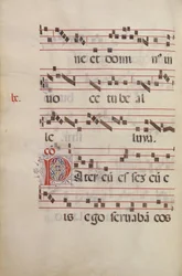 Decorated Initial P