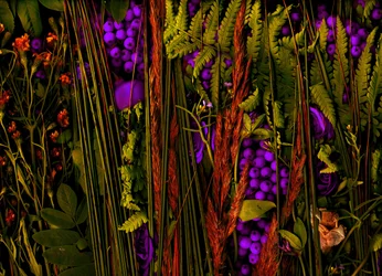 Magic Garden No.39-3, 2019