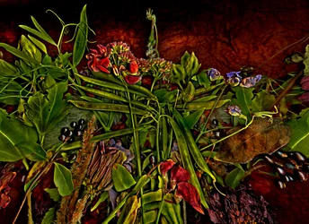 Still-life M 3, 2014