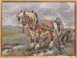 Work in the Fields