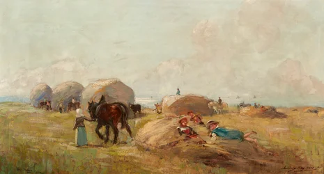 Haymaking