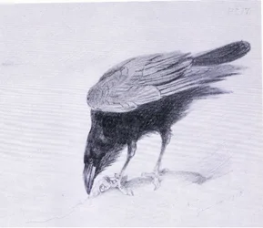 Raven, pub. by Book Club Associates