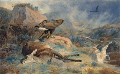 The Lost Hind