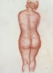 Nude Standing from the Back