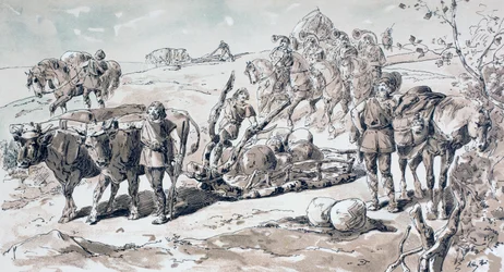 Oxen drawing a primitive sled laden with rocks
