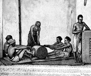 Cinnamon Packing, India