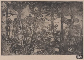 Trees at Night