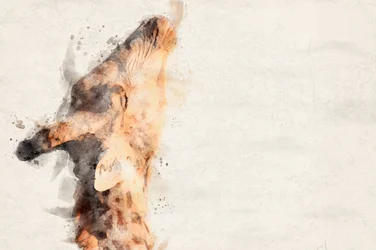 Graceful Giraffe Watercolor