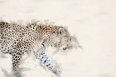 Graceful Watercolor Leopard